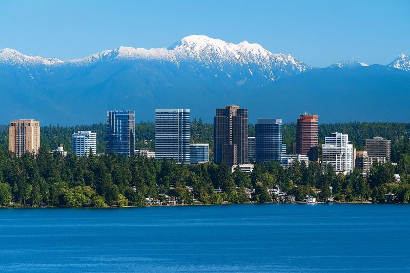 Best Shower Installation pros in Renton, WA