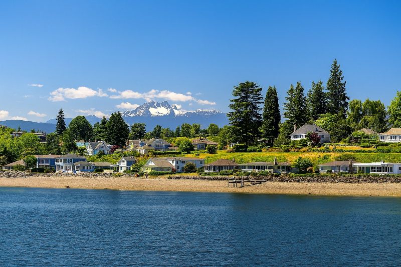 Hero for Home Services Options