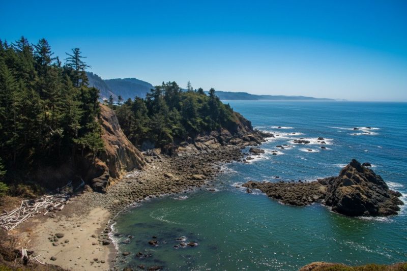 Hero for Home Services Options